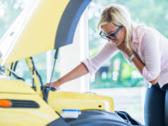 Asset ID: SBI-300985305