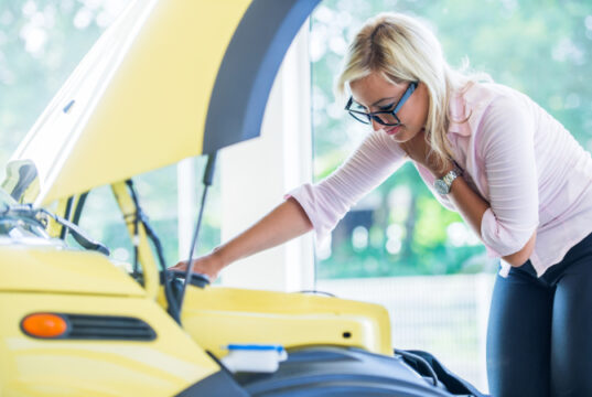 Asset ID: SBI-300985305