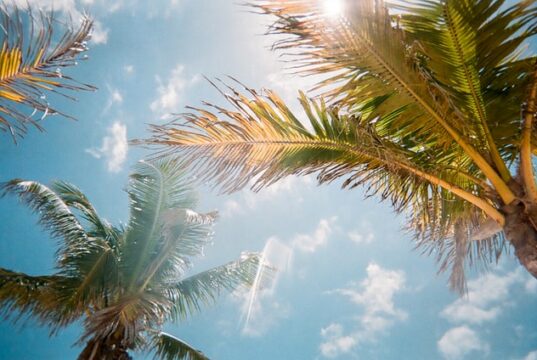 https://unsplash.com/photos/CpeUoLVTAs8