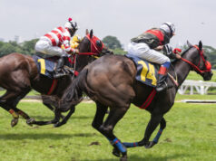 https://www.freepik.com/premium-photo/race-hose_3849972.htm#page=1&query=horse%20race&position=42&from_view=search