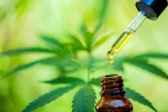 https://www.freepik.com/premium-photo/cbd-hemp-oil-drip-bio-medicine-ecology-hemp-plant-herb-medicine-cbd-oil-from-medical-extraction_12176787.htm#page=1&query=cbd&from_query=cbg&position=16&from_view=search