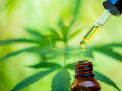 https://www.freepik.com/premium-photo/cbd-hemp-oil-drip-bio-medicine-ecology-hemp-plant-herb-medicine-cbd-oil-from-medical-extraction_12176787.htm#page=1&query=CBD&position=35&from_view=search