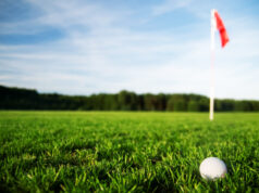https://www.freepik.com/free-photo/golf-ball-grass-field_945440.htm#page=1&query=closed%20golf%20course&position=2&from_view=search