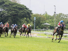 https://www.freepik.com/premium-photo/high-speed-horse-race_3371802.htm?query=horse%20racing