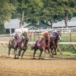 joshua-adams-o86VhXH4P-o-unsplash