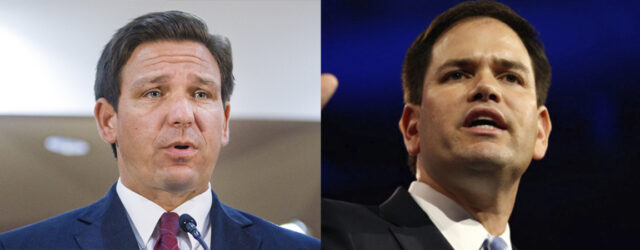 rubio-desantis