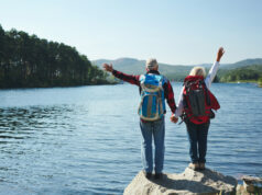 https://www.freepik.com/free-photo/summer-adventure_5400564.htm#page=1&query=retirement%20plan&position=11&from_view=search
