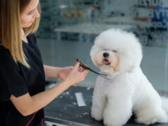 Nejron Photo. License #: 273145807.