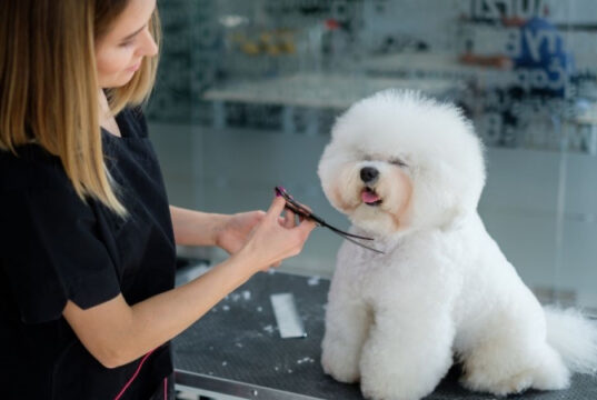 Nejron Photo. License #: 273145807.