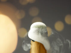 empty champagne