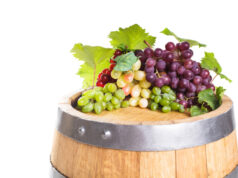 https://www.freepik.com/premium-photo/grapes-wooden-barrel-with-wine-white_20578737.htm#page=1&query=winery&position=20&from_view=search