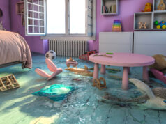 https://www.freepik.com/premium-photo/home-interior-bedroom-with-flooded-toys_8127356.htm?query=home%20insurance&from_query=insurance+adjuster