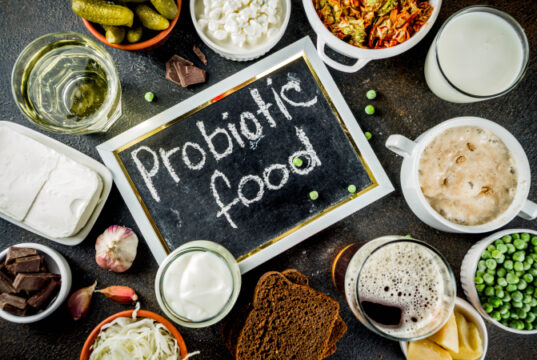https://www.freepik.com/premium-photo/super-healthy-probiotic-fermented-food-sources_6283260.htm#page=1&query=probiotics&position=19&from_view=search