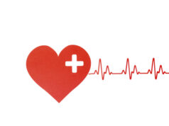 https://www.freepik.com/free-photo/top-view-paper-heart-with-heartbeat-world-heart-day_9638182.htm#query=holiday%20heart&position=27&from_view=search