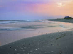 #442620638 https://stock.adobe.com/images/a-long-exposure-of-waves-on-the-pink-sand-at-holly-beach-louisiana-at-sunset/442620638