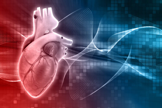 https://www.freepik.com/free-photo/human-heart-design_879663.htm?query=heart%20disease
