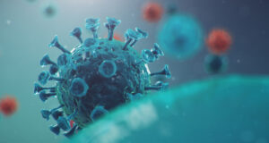 https://www.freepik.com/premium-photo/outbreak-chinese-influenza-called-coronavirus-2019-ncov-which-has-spread-around-world-danger-pandemic-epidemic-humanity-human-cells-virus-infects-cells-3d-illustration_7278300.htm#query=covid%20lungs&position=14&from_view=search