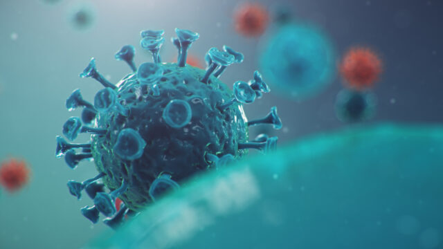 https://www.freepik.com/premium-photo/outbreak-chinese-influenza-called-coronavirus-2019-ncov-which-has-spread-around-world-danger-pandemic-epidemic-humanity-human-cells-virus-infects-cells-3d-illustration_7278300.htm#query=covid%20lungs&position=14&from_view=search