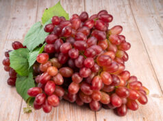 https://www.freepik.com/premium-photo/red-grape-with-leaves-wooden-background-bunch-fresh-red-grapes-with-leaves_21380589.htm#query=australian%20wines&position=12&from_view=search