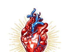 https://www.freepik.com/free-vector/realistic-heart-illustration_1389311.htm#query=human%20heart&position=0&from_view=keyword