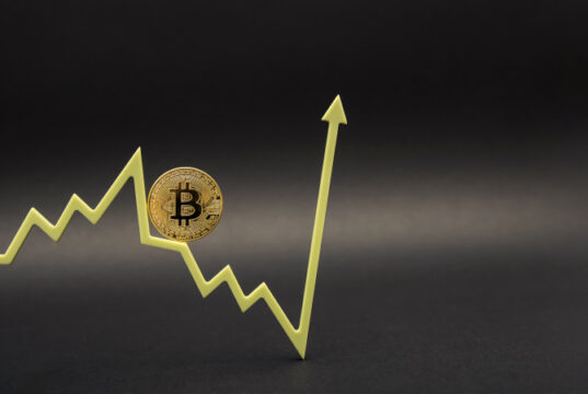 https://www.freepik.com/premium-photo/bitcoin-volatility-fluctuations-forecasting-cryptocurrency-rate-bitcoin-coin-price-chart-points-up-black-background-copy-space_14282567.htm#query=crypto%20fluctuation&position=23&from_view=search
