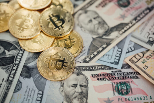https://www.freepik.com/premium-photo/money-background-usa-dollar-with-euro-banknotes-bitcoin-cryptocurrency-investing-concept_15987657.htm?query=bitcoins