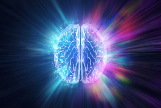 https://www.freepik.com/premium-photo/human-brain-blue-background-hemisphere-is-responsible-logic_4675234.htm?query=alzheimers