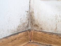 https://www.vecteezy.com/photo/4694561-dust-dirty-home-dusty-apartment