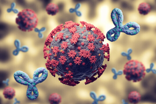 https://www.vecteezy.com/photo/4742305-immune-response-against-coronavirus-and-covid-19-antibodies-activated-by-vaccine-attacking-viruses-inside-the-human-body