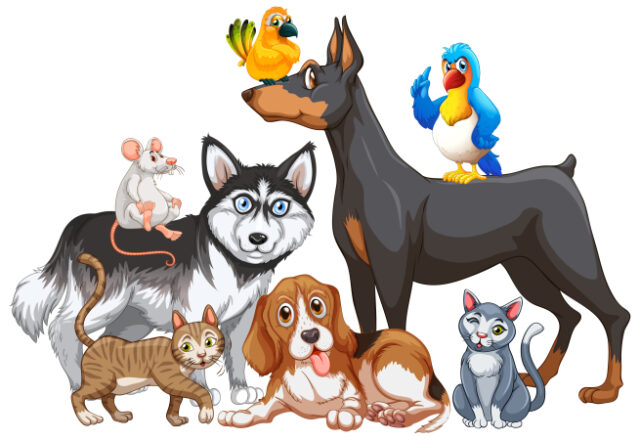 2edi_xj68_201208 https://www.freepik.com/free-vector/group-pets_12356164.htm#query=pets&position=7&from_view=search