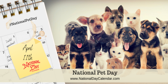 NATIONAL-PET-DAY-–-April-11