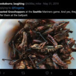 Seattle Mariners – T-Mobile Park – Toasted grasshoppers