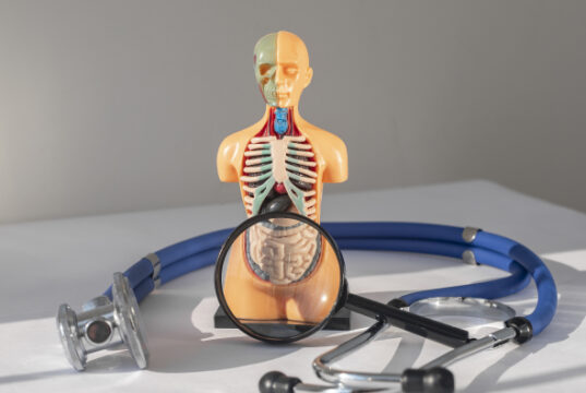 https://www.freepik.com/premium-photo/intestine-colon-medical-check-concept-with-human-body-magnifying-glass_18194278.htm#query=IBD&position=17&from_view=search