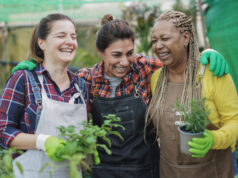 https://www.freepik.com/premium-photo/multiracial-women-having-fun-working-inside-garden-center_23884609.htm?query=senior%20grocery