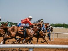 https://www.pexels.com/photo/men-on-horses-3015224/