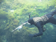 https://www.freepik.com/premium-photo/spearfishing-man-with-flashlight-deep-lake-swimming-with-action-camera-underwater-gun-underwater-shot_23977268.htm#query=spearfishing&position=10&from_view=search