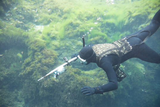 https://www.freepik.com/premium-photo/spearfishing-man-with-flashlight-deep-lake-swimming-with-action-camera-underwater-gun-underwater-shot_23977268.htm#query=spearfishing&position=10&from_view=search