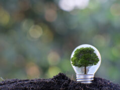 https://www.vecteezy.com/photo/2187325-energy-saving-light-bulb-and-business-or-business-growth-concept