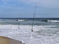 https://www.vecteezy.com/photo/1313406-fishing-rods-on-the-beach