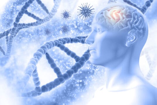 https://www.freepik.com/free-photo/3d-medical-background-with-male-figure-with-brain-virus-cells_1138372.htm#page=2&query=dementia&position=46&from_view=search
