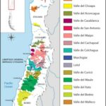 Chile Wine Map