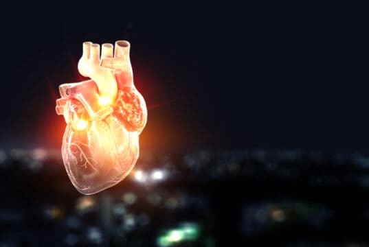 https://www.freepik.com/premium-photo/heart-as-symbol-innovations-medicine-mixed-media_29986290.htm#query=human%20heart%20future&position=42&from_view=search