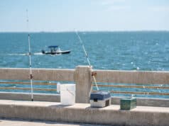 https://www.vecteezy.com/photo/1421494-fishing-poles-and-tackle-boxes-on-a-pier