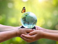 https://www.vecteezy.com/photo/2606449-adults-are-sending-the-world-to-babies-concept-day-earth-save-the-world-save-environment-the-world-is-in-the-grass-of-the-green-bokeh-background