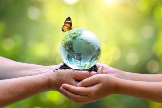 https://www.vecteezy.com/photo/2606449-adults-are-sending-the-world-to-babies-concept-day-earth-save-the-world-save-environment-the-world-is-in-the-grass-of-the-green-bokeh-background
