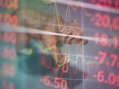 https://www.vecteezy.com/photo/4800878-bull-and-bear-market-concept-with-stock-chart-digital-numbers-crisis-red-price-drop-arrow-down-chart-fall-stock-market-bear-finance-risk-trend-investment-business-and-money-losing-moving-economic