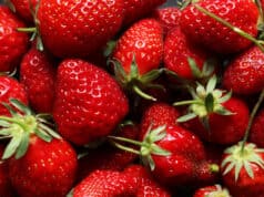 https://www.vecteezy.com/photo/1410234-handful-of-strawberries-on-slate