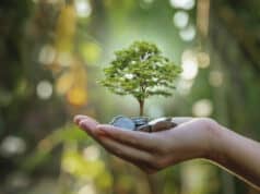 https://www.vecteezy.com/photo/1254573-planting-crops-on-a-pile-of-coins-on-hand-investment-concepts-in-business