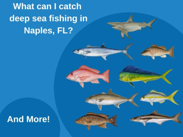 Deep-Sea-Fishing-Naples-FL-1024x768.png