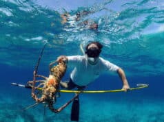https://maxspearfishing.com/category/pole-spears